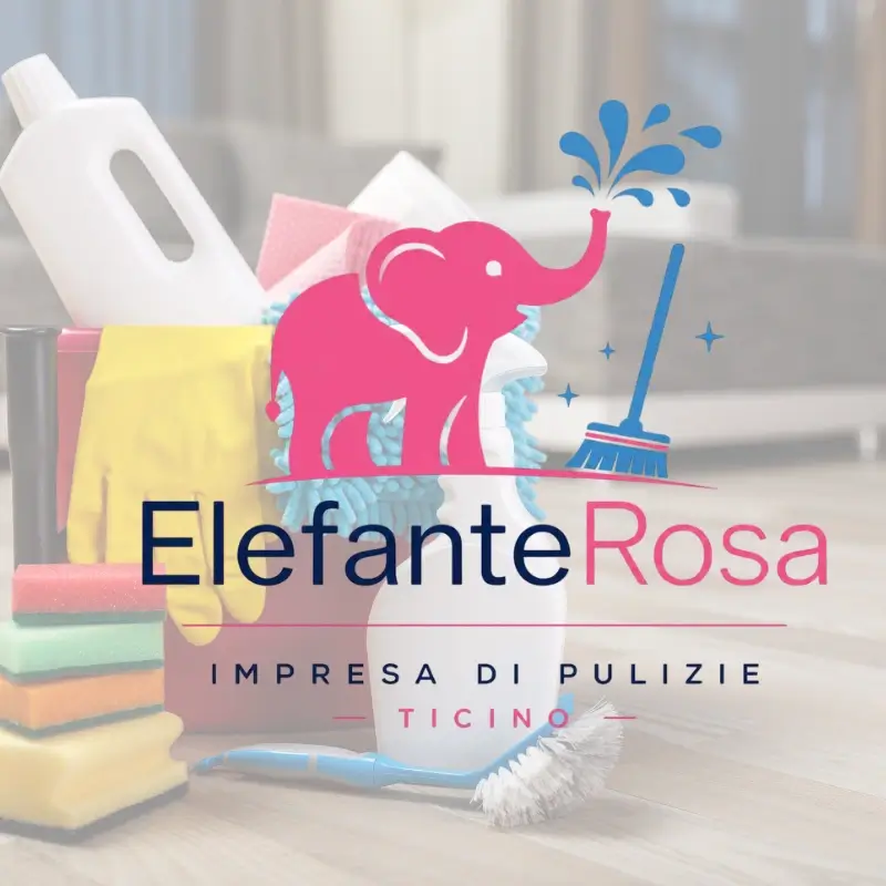 Impresa di pulizie Ticino